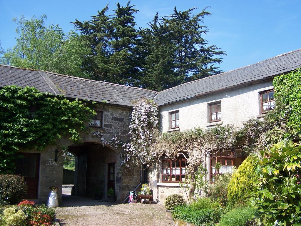 Ballinacourty House B&B Tipperary Exteriér fotografie