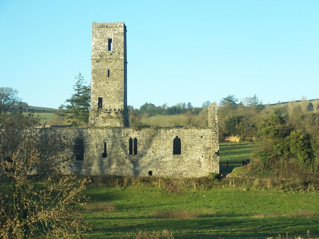 Ballinacourty House B&B Tipperary Exteriér fotografie